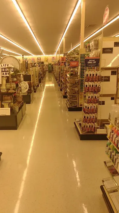 Hobby Lobby 4
