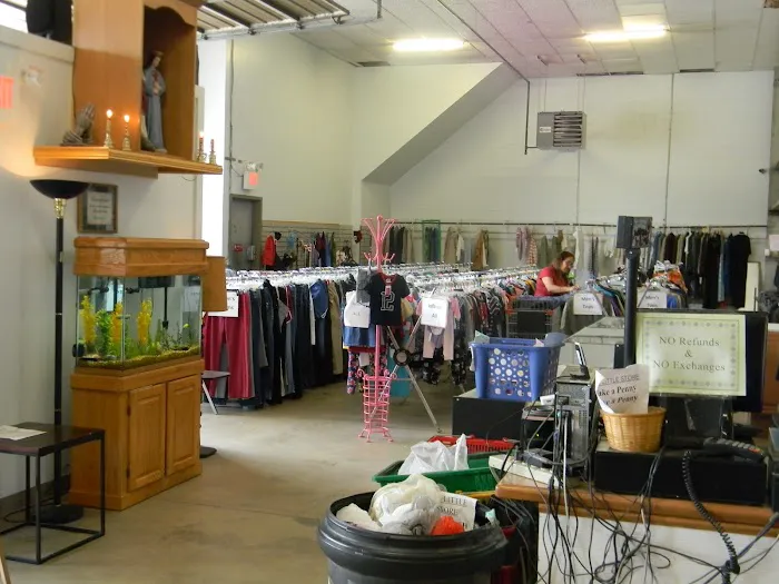 The Little Store and Just New! 7