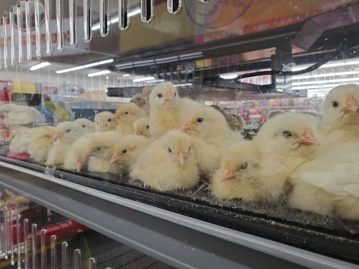 Tractor Supply Co. 1