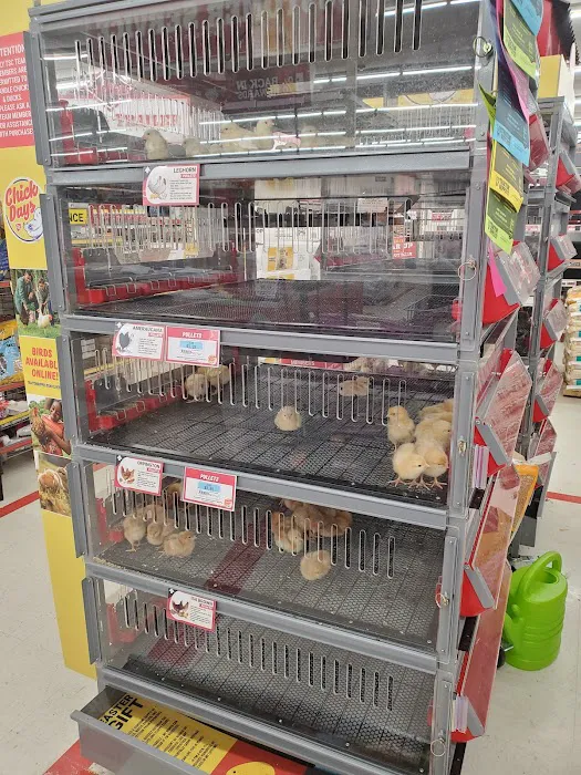 Tractor Supply Co. 9