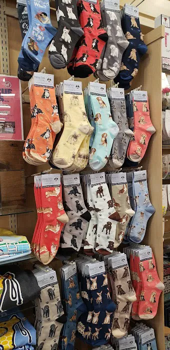 The Paper Store 4
