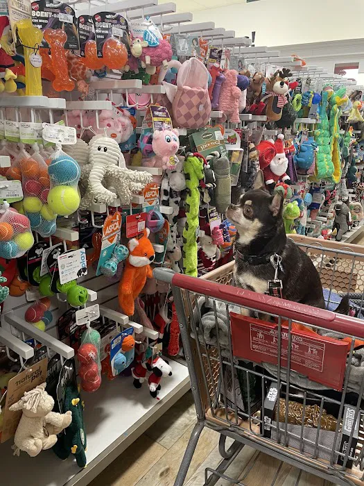 T.J. Maxx & HomeGoods 8