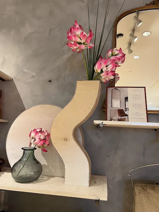 Anthropologie 2