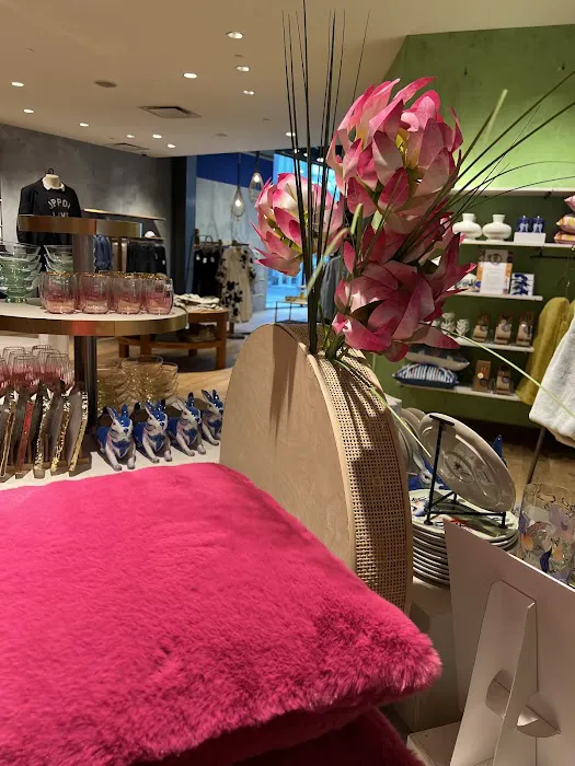 Anthropologie 5
