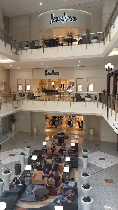 Neiman Marcus 7