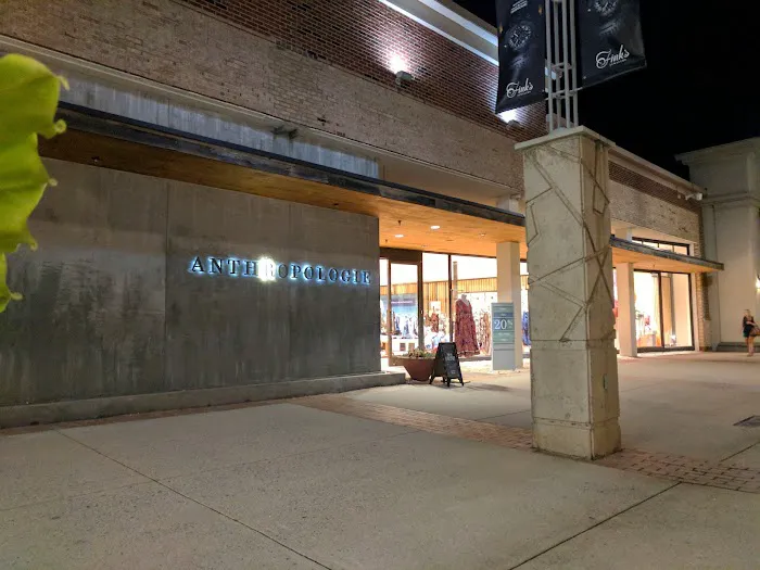Anthropologie 2