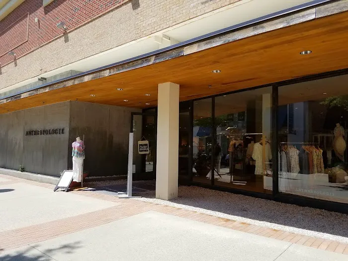 Anthropologie 0