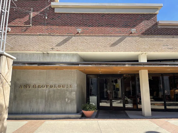 Anthropologie 7
