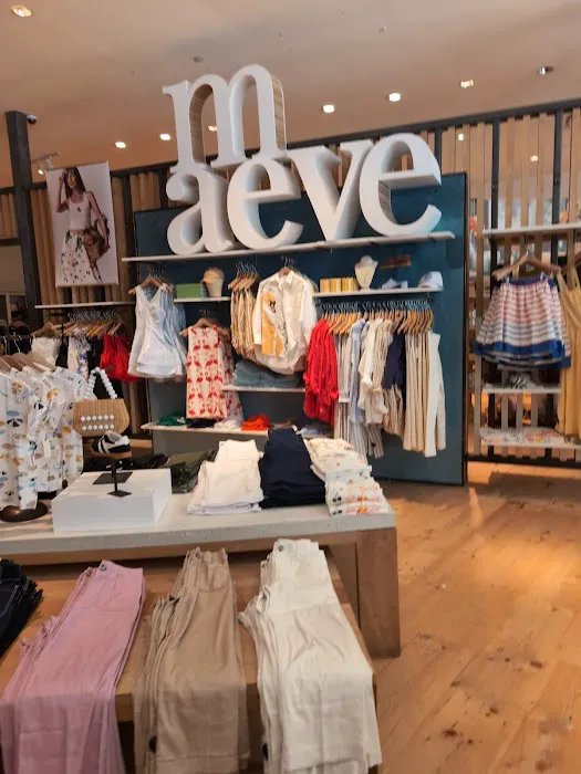 Anthropologie 4