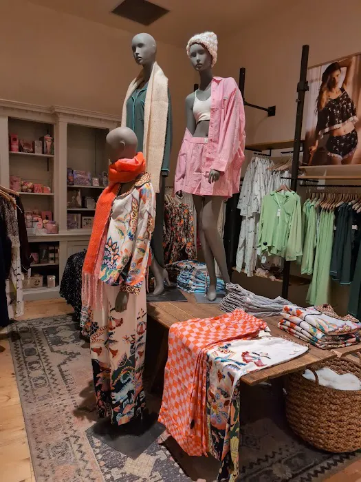 Anthropologie 5