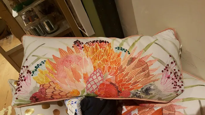 Anthropologie 3