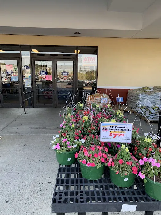 Roses Discount Store 8