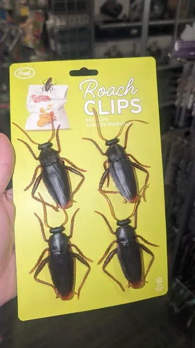 Kohl's 2