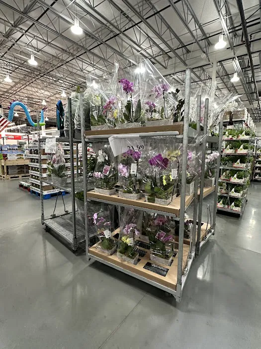 Costco Wholesale 7