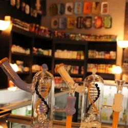 Spaced Out Smoke Shop ico