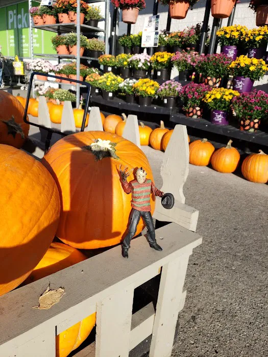 Stop & Shop 3