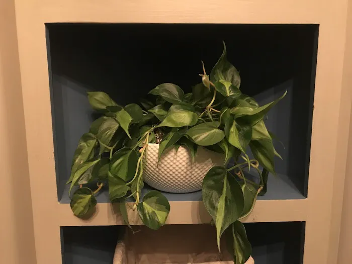 EverBloom Floral and Gift 0
