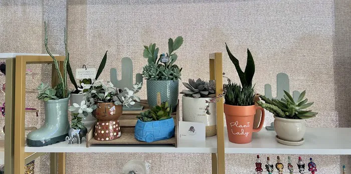 Amethyst House - A Boutique Wellness Studio 0