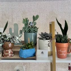 Amethyst House - A Boutique Wellness Studio ico