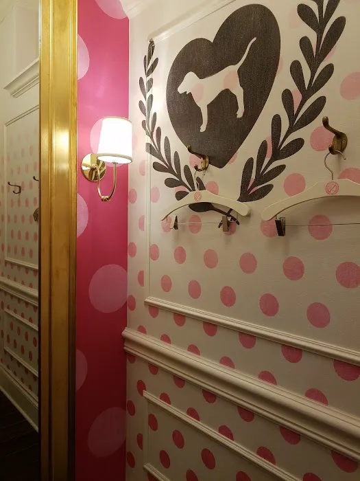 PINK by Victoria's Secret 10