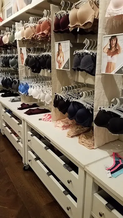 Aerie 4