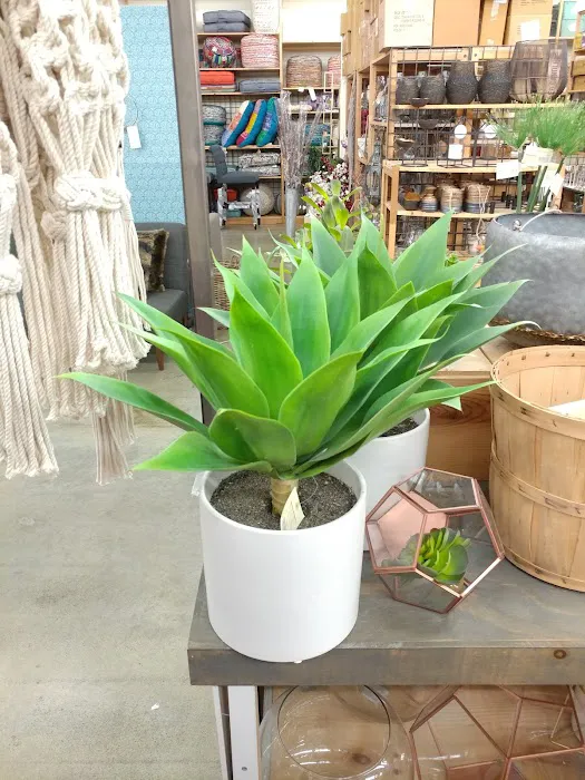 World Market 9