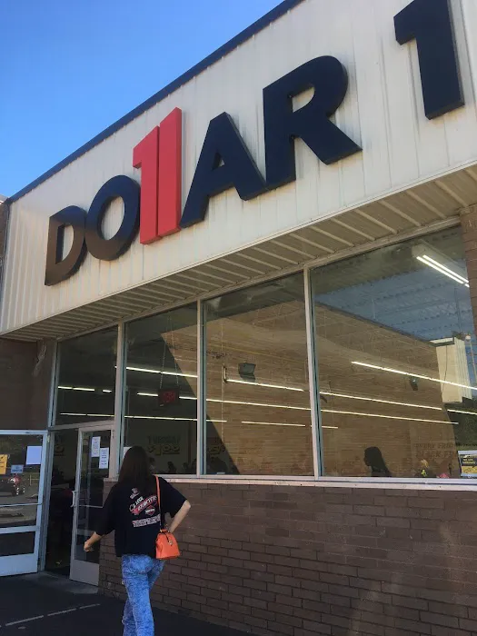 Dollar1 3