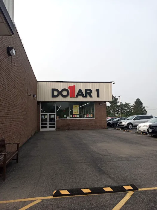 Dollar1 6