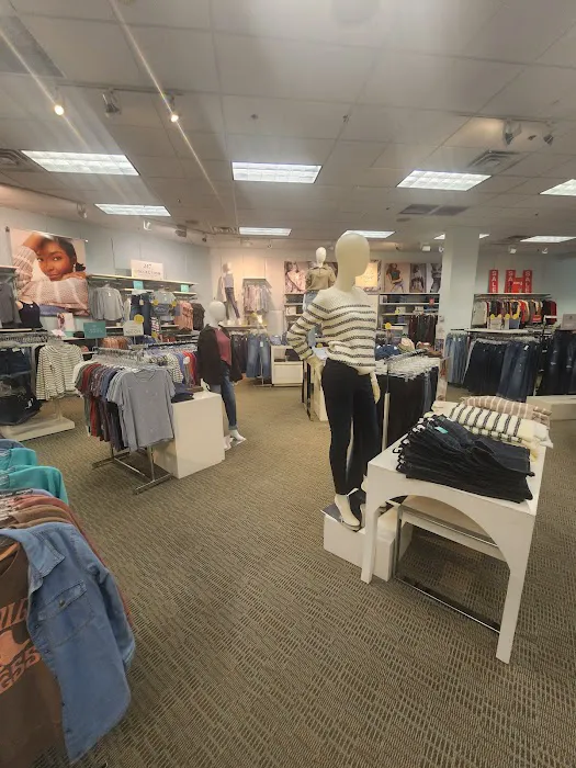Kohl's 4