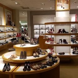 Dillard's ico