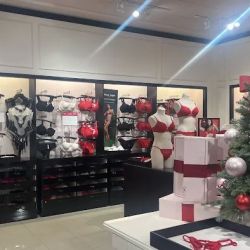 Victoria's Secret ico