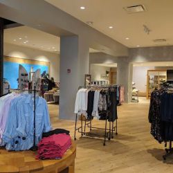 Anthropologie ico