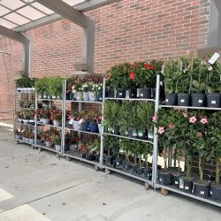Walmart Supercenter ico