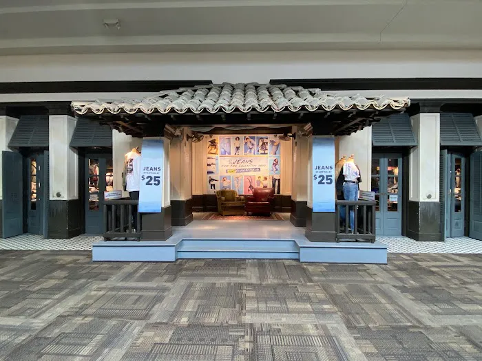Hollister Co. 2