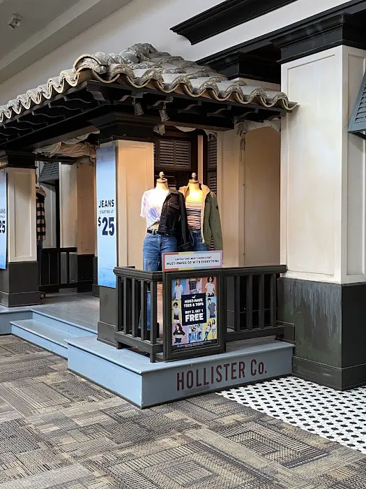 Hollister Co. 6