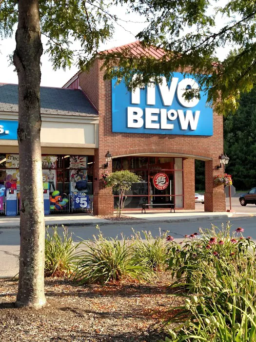 Five Below 9