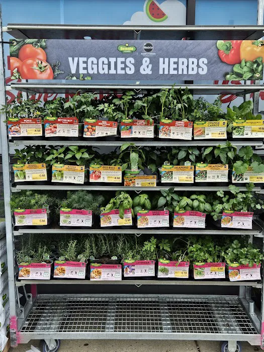 Grocery Outlet 2