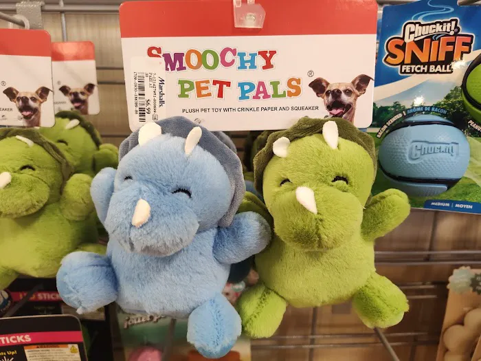 Marshalls 9