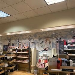 The Cosmetics Company Store ico