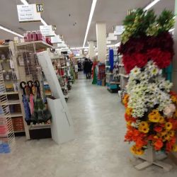 Discount Drug Mart ico