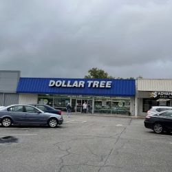 Dollar Tree ico