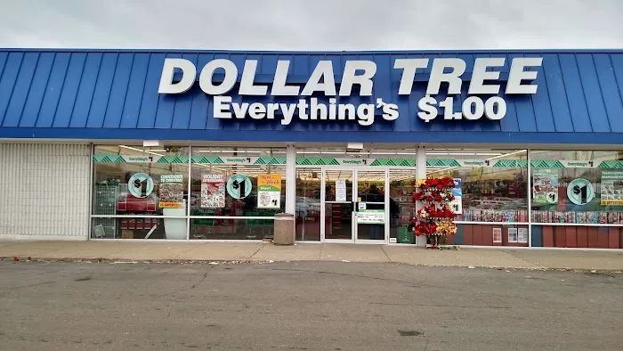 Dollar Tree 1