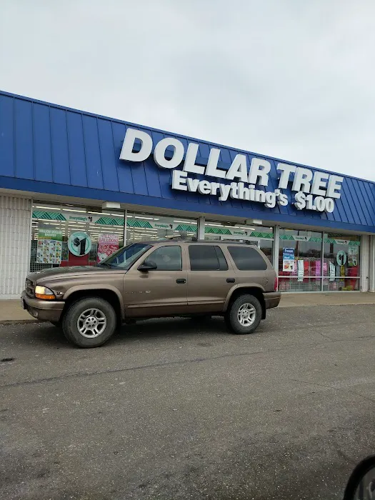 Dollar Tree 5