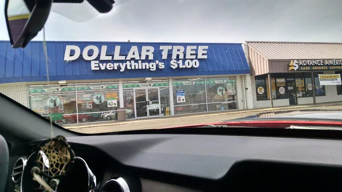 Dollar Tree 6