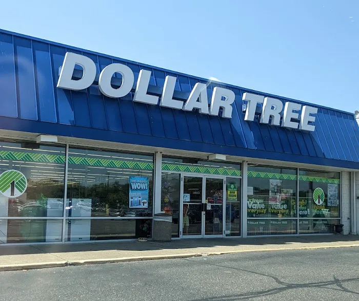 Dollar Tree 8