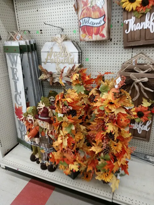 Big Lots 5