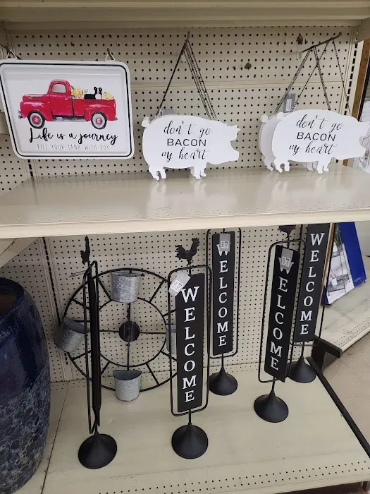 Big Lots 9
