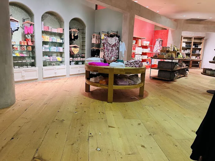 Anthropologie 2