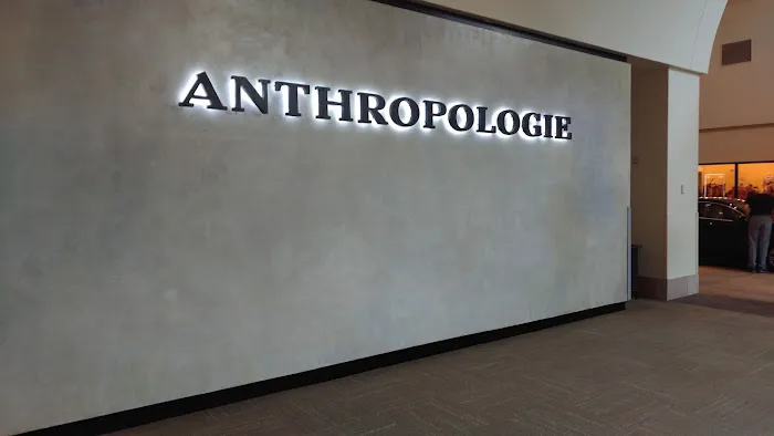 Anthropologie 1
