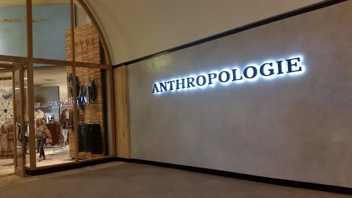 Anthropologie 0
